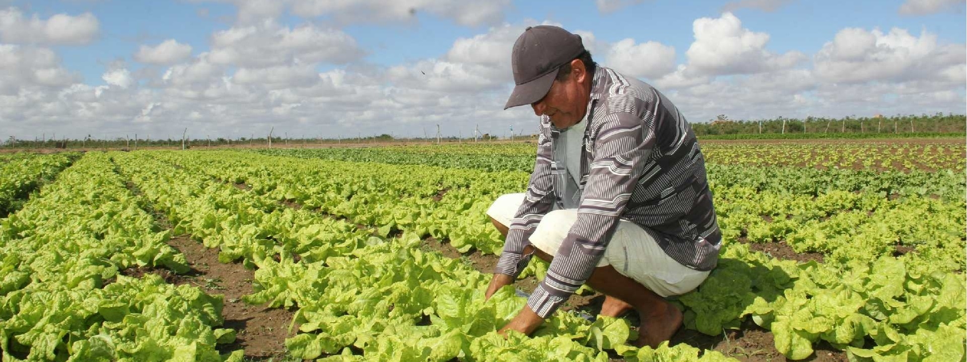 Secretaria Municipal De Agricultura E Meio Ambiente 5894